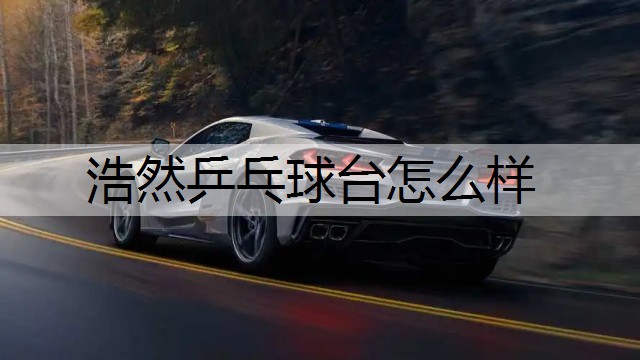 浩然乒乓球台怎么样