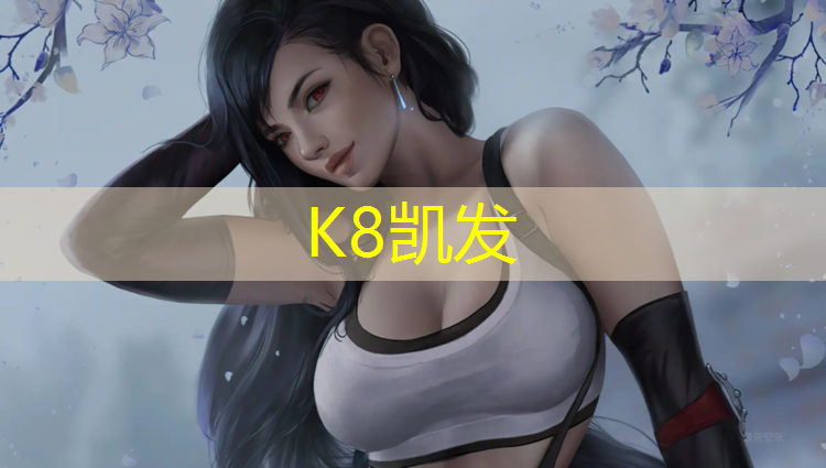 K8凯发国际官方网站：上饶网球网价格