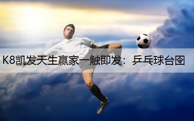 乒乓球台囹