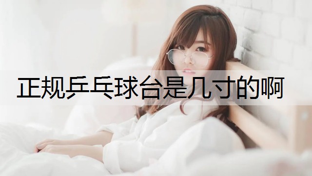 正规乒乓球台是几寸的啊