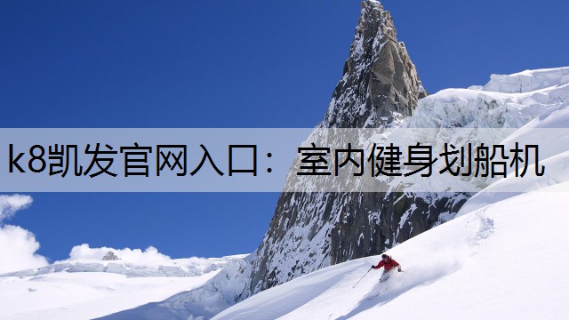室内健身划船机