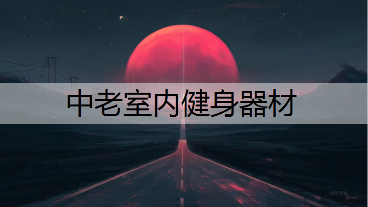 中老室内健身器材