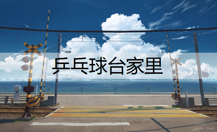 乒乓球台家里