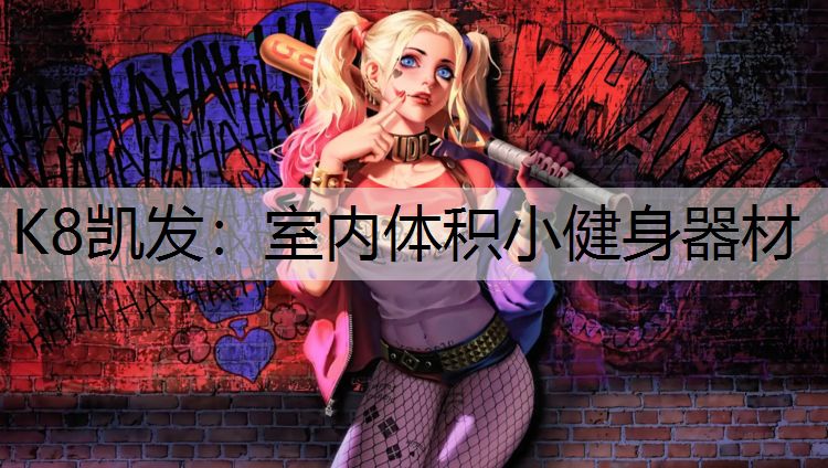 室内体积小健身器材