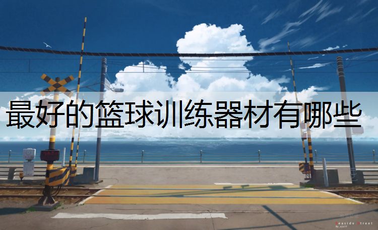 最好的篮球训练器材有哪些 最好的篮球训练器材有哪些