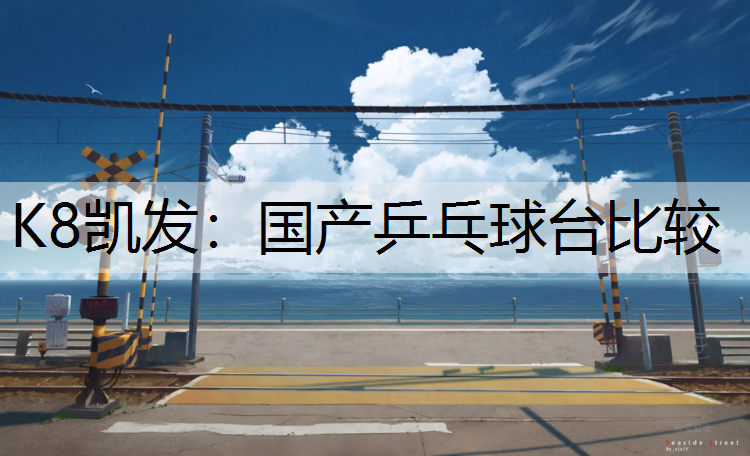 国产乒乓球台比较